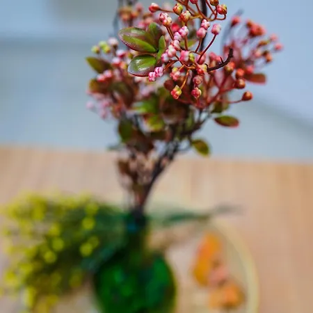 Duomo Street 3* Napoli