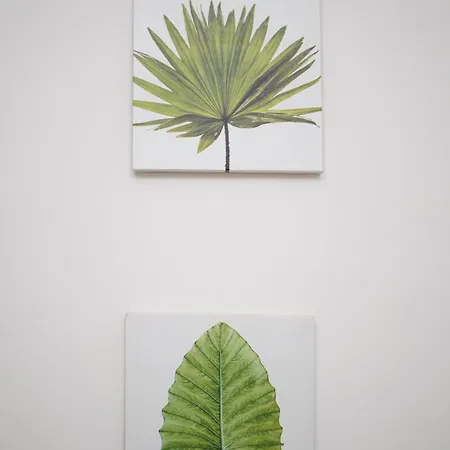 Bed & Breakfast Duomo Street Napoli